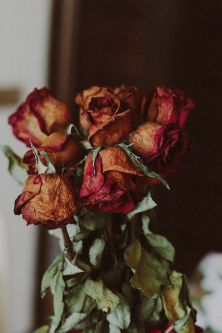 A close-up of a bouquet of withered roses in shades of deep red and burnt orange, with some petals curling and browning at the edges. The dried roses are arranged in a loose, natural style, with green